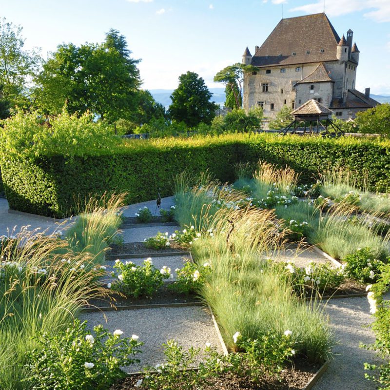 Jardin des Cinq Sens - Yvoire - Le tiassage
